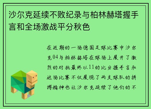 沙尔克延续不败纪录与柏林赫塔握手言和全场激战平分秋色